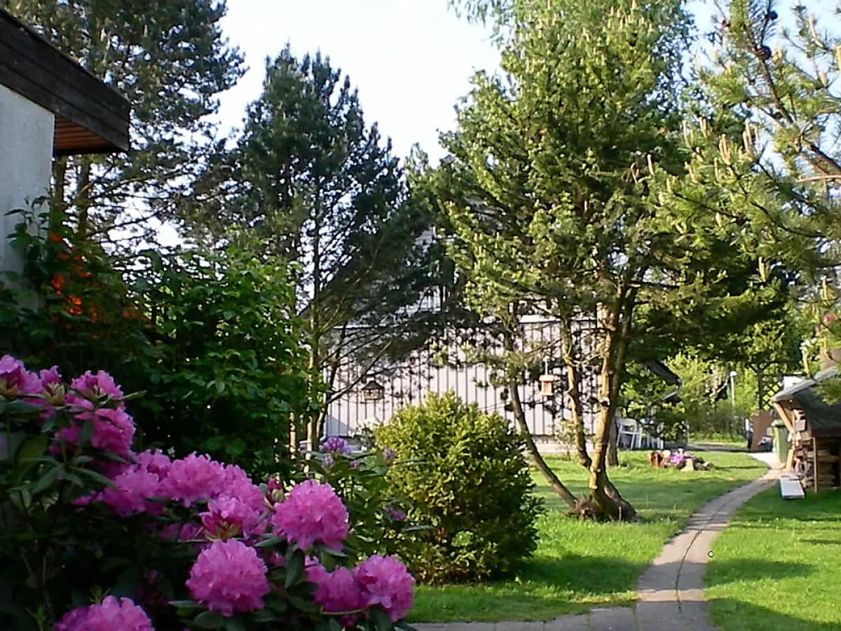 Garten mit Rasenfläche und Bäumen